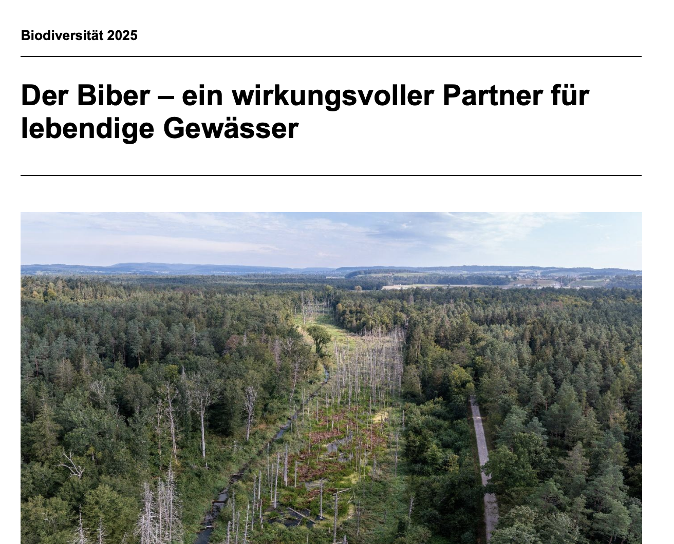 Synthesebericht Biber