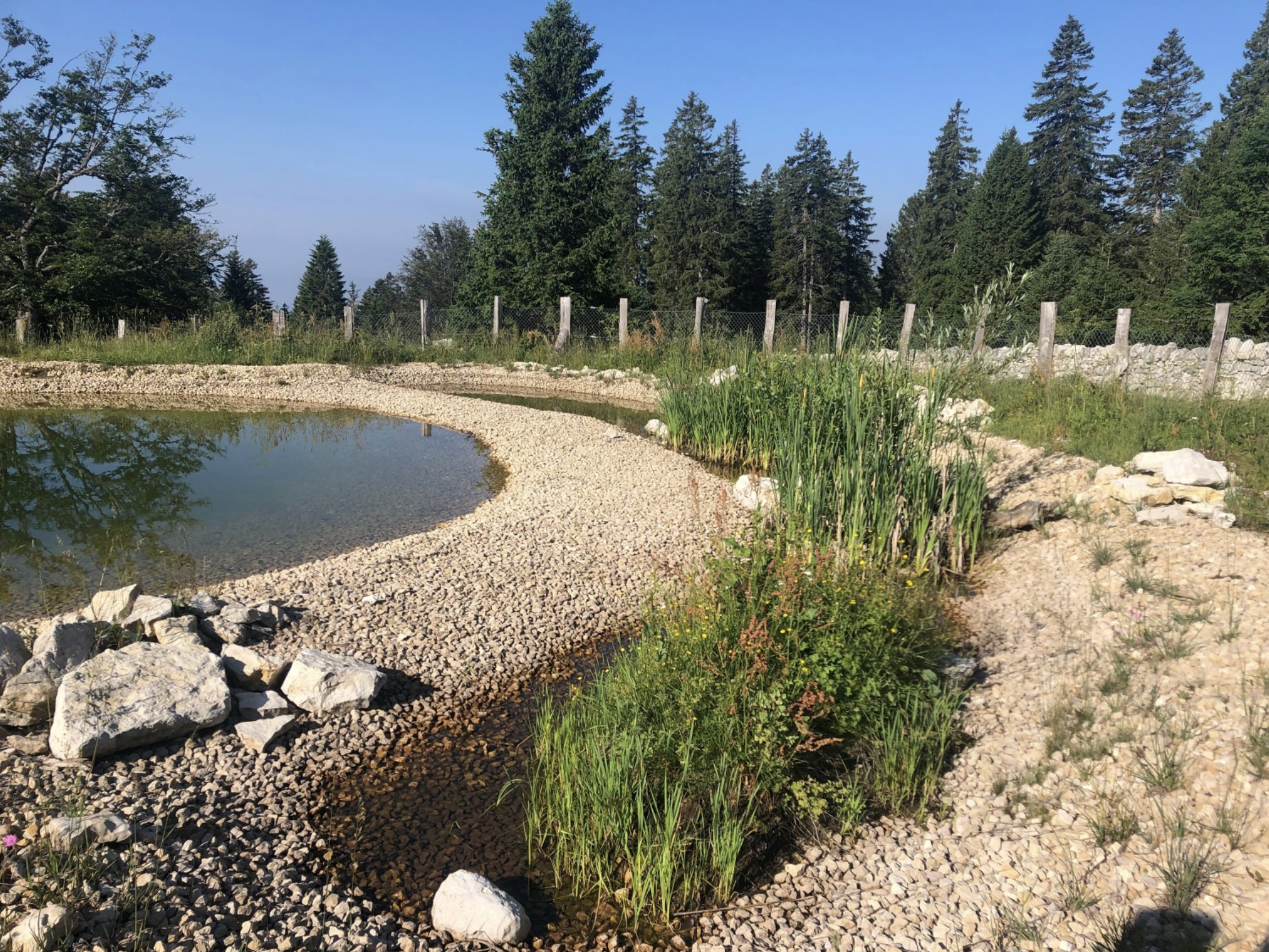 Agrarökologische Teiche mit Nebenbecken für Biodiversitätsförderung.