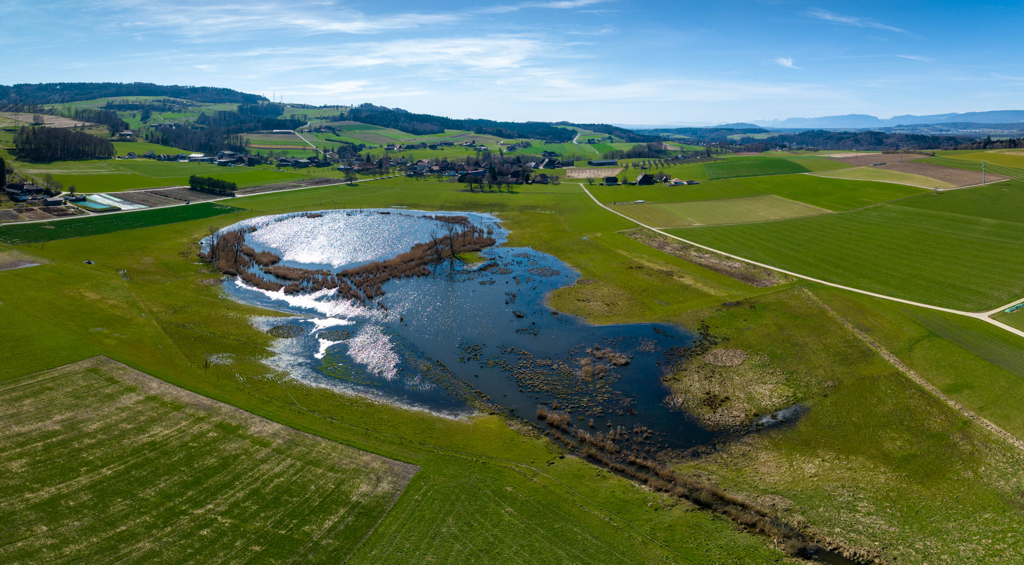Lobsigensee