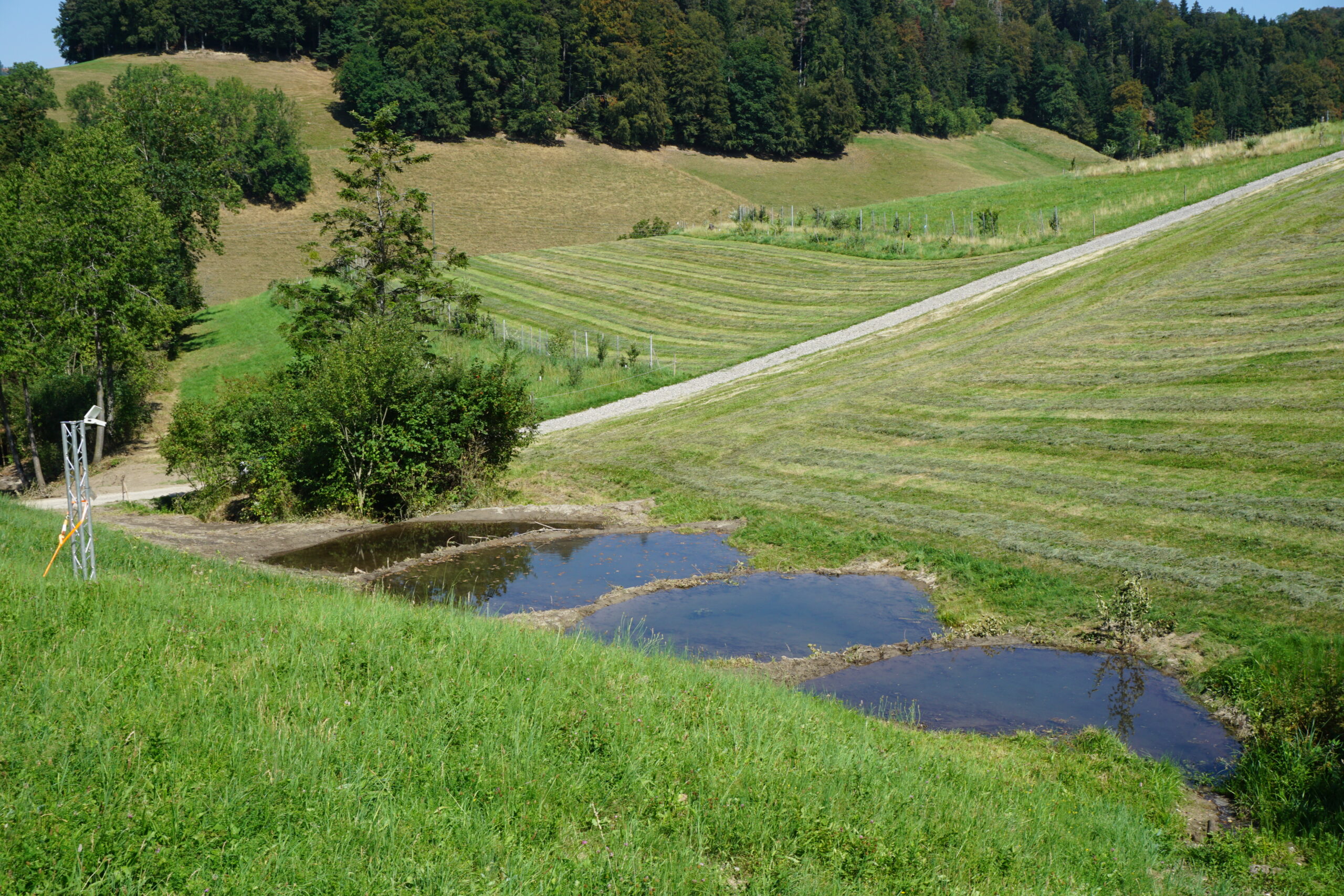 Uechtgraben